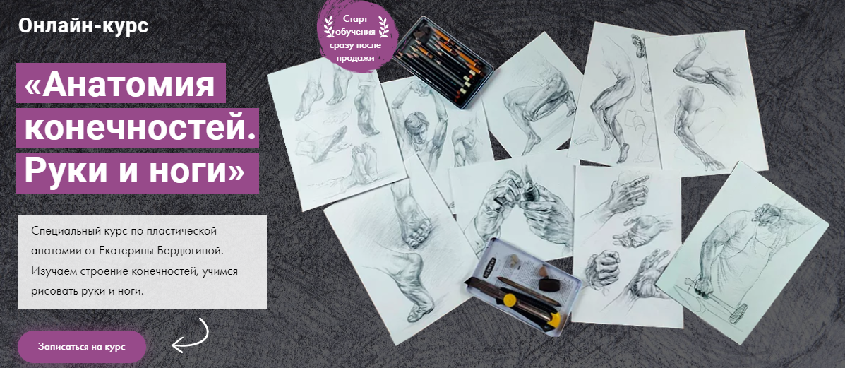 [Художник Online] Екатерина Бердюгина - Анатомия к_0.png